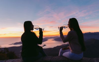 Light Reds & Rosés for Warm Days – Best Options for Daytime Sipping