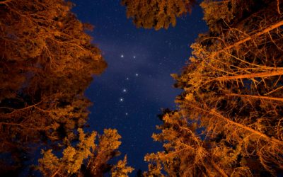 Dark Skies, Shooting Stars, and Why Waternish Is One of the Best Places in the World to Watch Them